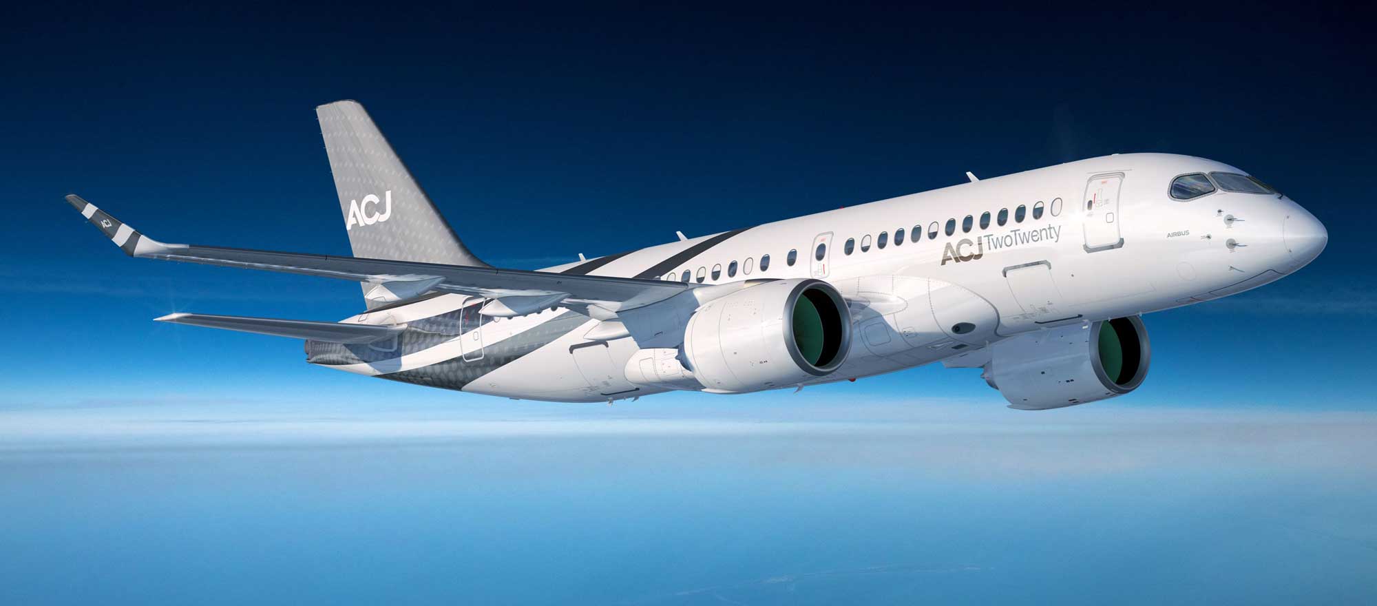 Airbus ACJ TwoTwenty Business Jet Traveler