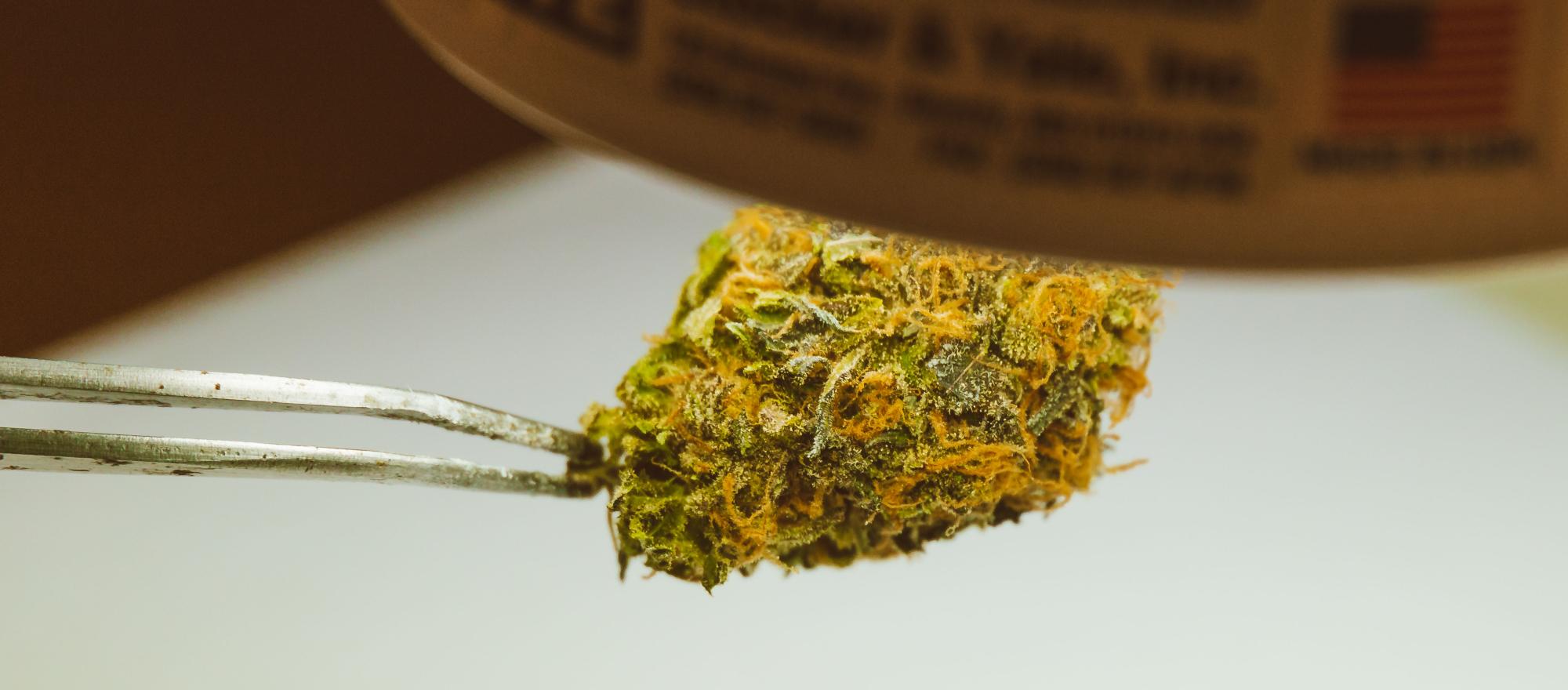 How Long After Cannabis Is a Pilot Safe to Fly? Nobody Knows Yet.