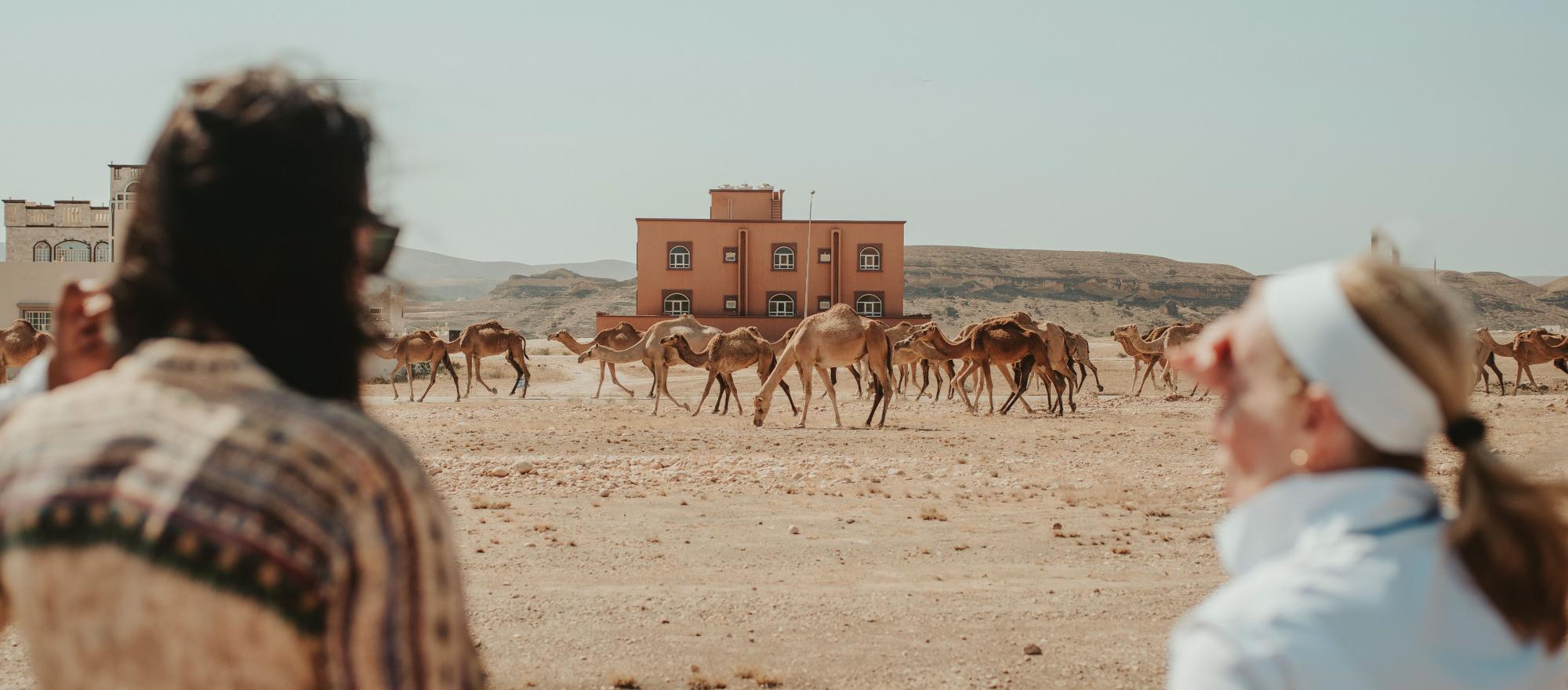 TCS in Oman