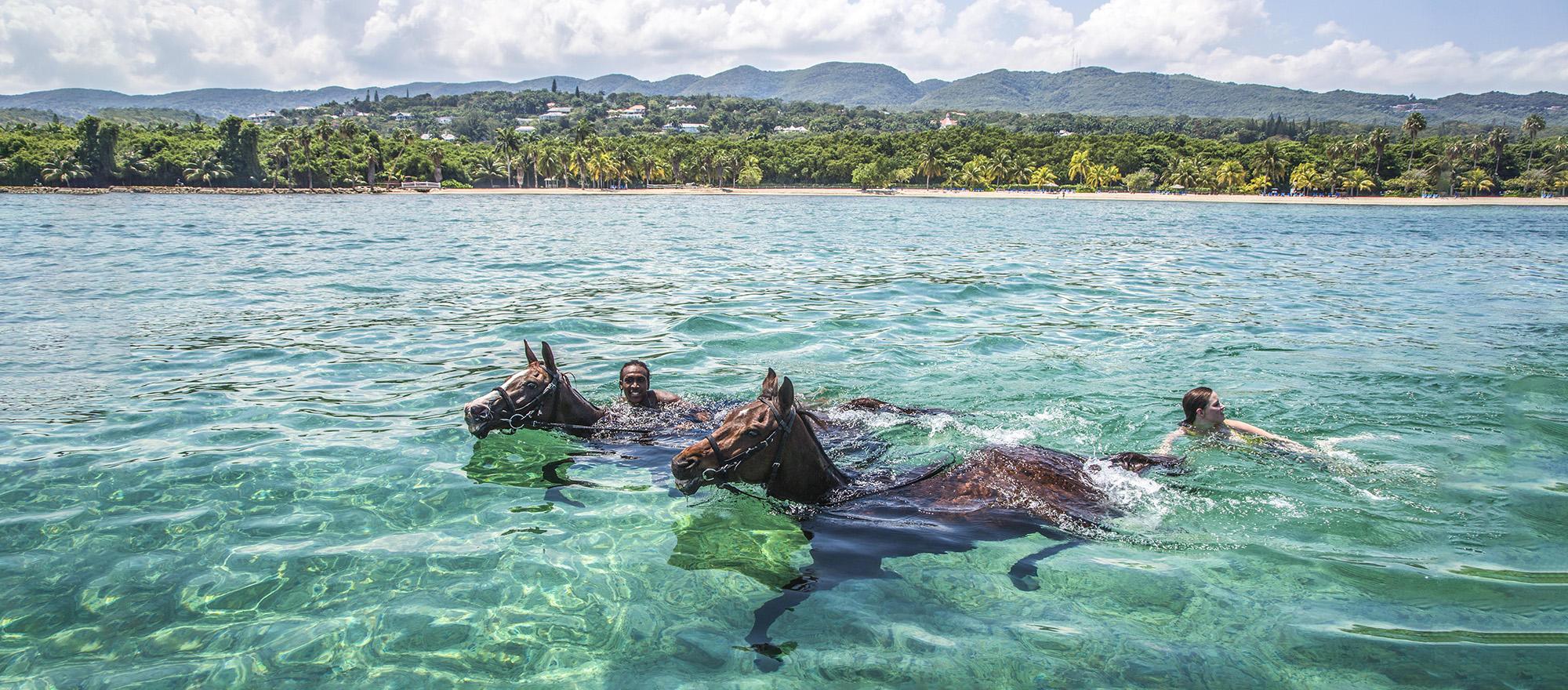 Swimming with horses, Half Moon Hotel