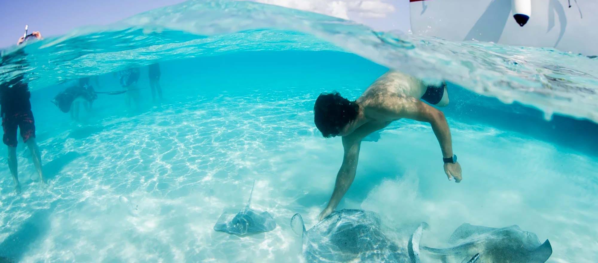 Photo: Stingray City