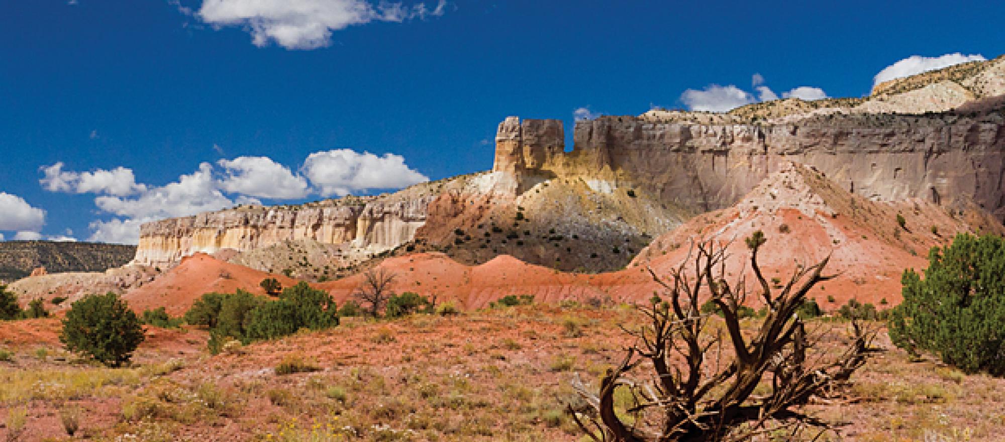 northern-new-mexico-business-jet-traveler