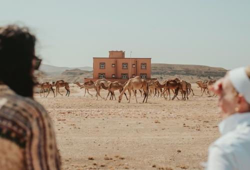 TCS in Oman