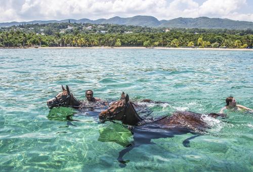 Swimming with horses, Half Moon Hotel