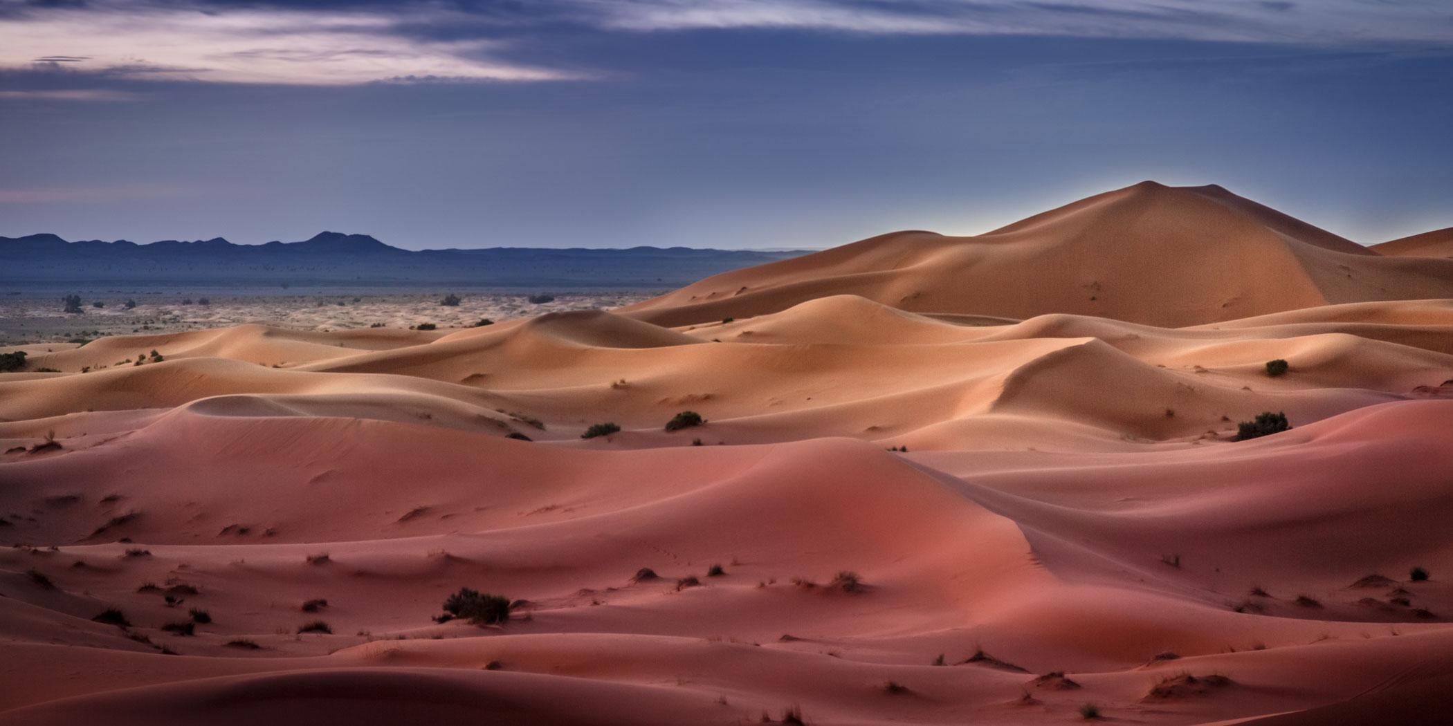 Sand dunes in the Sahara desert (Photo: Adobe Stock)